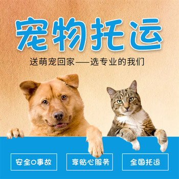嵊泗正規(guī)托運-托運運輸免費上門接寵