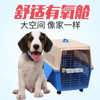 張北狗狗托運-汽車托運狗狗上門接寵