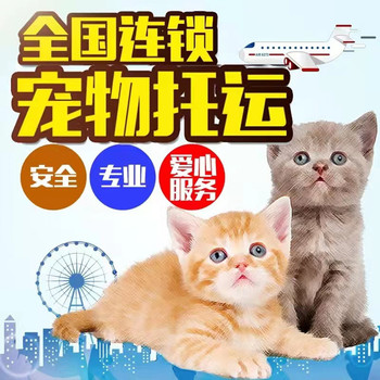 內(nèi)黃托運運輸-客車托運狗接送方便