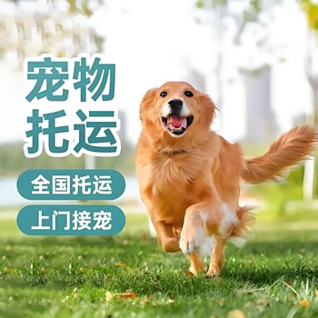 新建托運-汽車帶托運恒溫專車