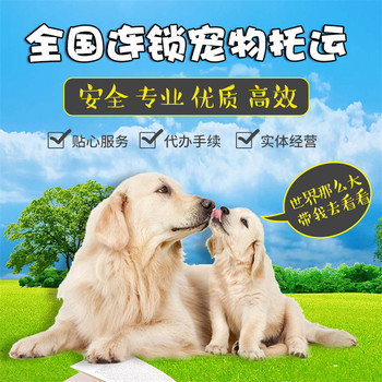 肅寧托運公司-活體運輸代喂食物