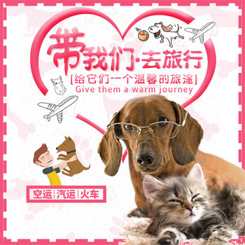 康保附近托運-貓狗長途搬家跨省長途