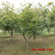 dda834c976bba22b6ef0570de6afcc6