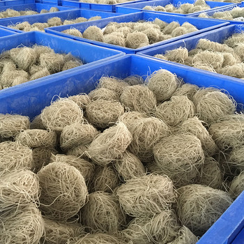 方便粉絲加工機_餅狀粉絲設備多年生產企業(yè)麗星提供技術支持