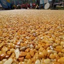 大桶陽高縣詠彩興邦膠粘石膠水施工隊(duì)
