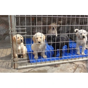 銅陵狗場電話可送貨