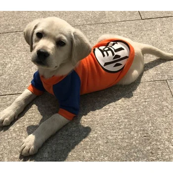 貴港養(yǎng)狗場誠信交易