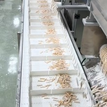 厦门松翔林QSCX-02-01芋圆生产线粉条生产线阿达子生产线麻薯粒生产线16个小时能产出91.2吨芋圆