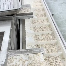 厦门松翔林FSCX-02-01老红糖珍珠生产线16个小时产67.2吨无馅小汤圆生产线珍珠粉圆生产线