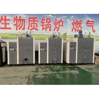 生物質(zhì)鍋爐1噸6噸10噸廣東江門