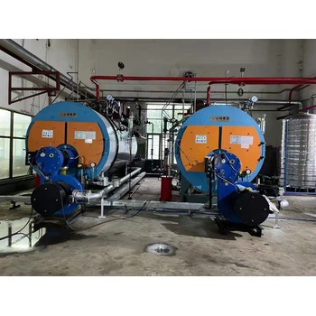 導熱油鍋爐2噸4噸福建漳州