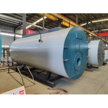工業(yè)燃?xì)忮仩t15噸20噸四川資陽
