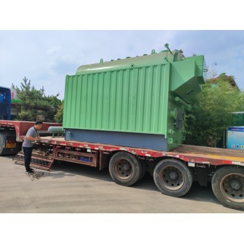 導熱油鍋爐1噸6噸10噸新疆石河子