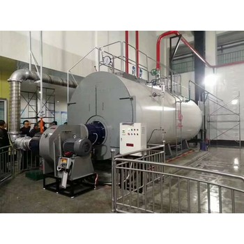 燃油鍋爐15噸20噸重慶渝北