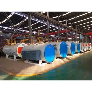 燃油鍋爐15噸20噸河北邢臺