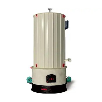 燃油鍋爐15噸20噸安徽淮南