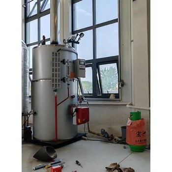 蒸汽發(fā)生器1噸6噸10噸廣西梧州