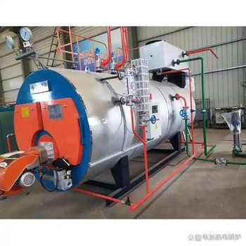 生物質(zhì)顆粒鍋爐1噸6噸10噸貴州畢節(jié)