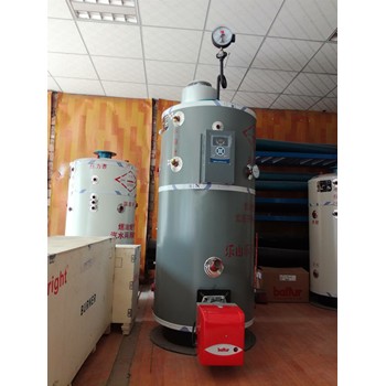 燃煤鍋爐3噸5噸廣東汕尾