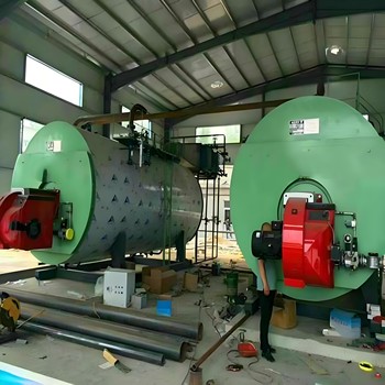 導熱油鍋爐1噸6噸10噸河南濟源