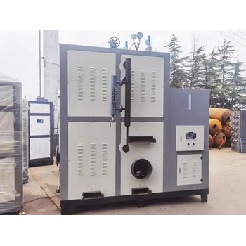 燃?xì)忮仩t15噸20噸福建廈門