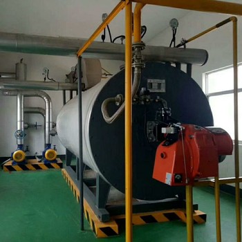 蒸汽鍋爐2噸4噸山東聊城