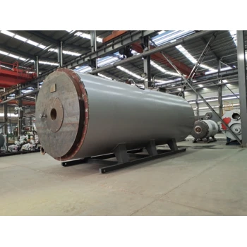 燃?xì)忮仩t1噸6噸10噸安徽合肥