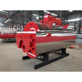 燃?xì)忮仩t15噸20噸廣東東莞