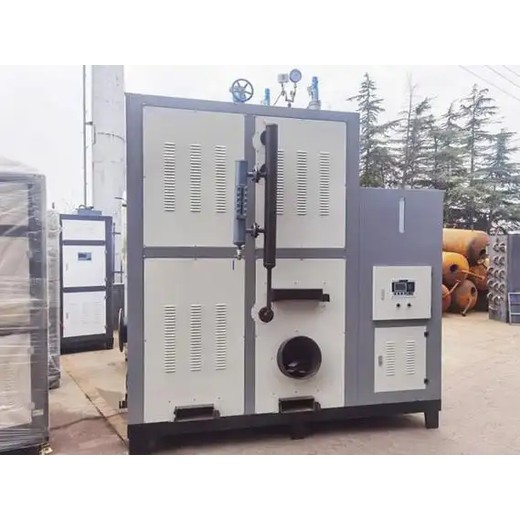 生物質(zhì)鍋爐1噸6噸10噸內(nèi)蒙古阿拉善盟