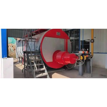 燃?xì)忮仩t2噸4噸廣東江門