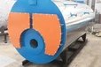 燃油鍋爐15噸20噸內(nèi)蒙古阿拉善盟