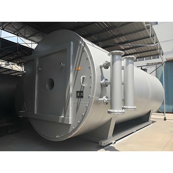 燃?xì)忮仩t2噸4噸廣東江門