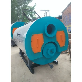 燃?xì)忮仩t1噸6噸10噸遼寧葫蘆島