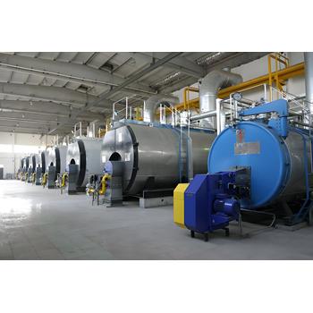 燃氣鍋爐1噸6噸10噸重慶綦江