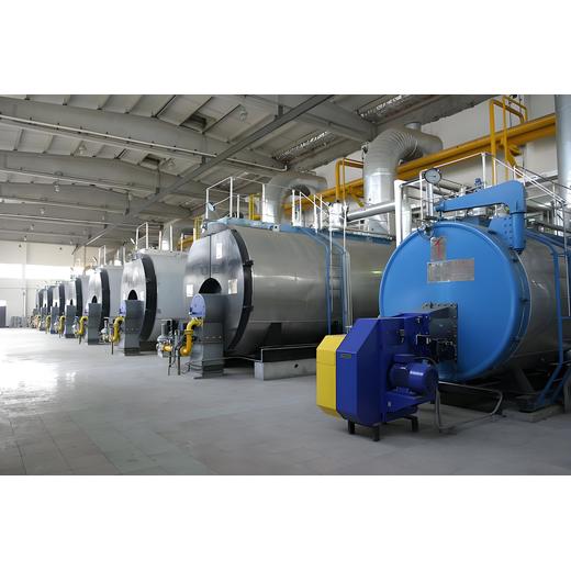 生物質鍋爐1噸6噸10噸內(nèi)蒙古阿拉善盟