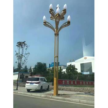 阿拉善美觀(guān)庭院燈
