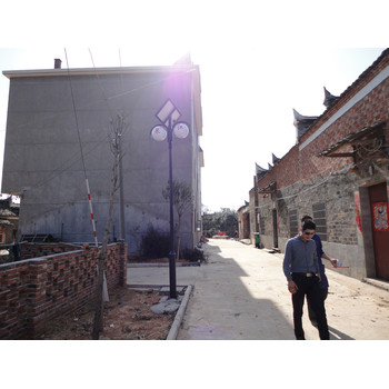 玉樹(shù)美觀(guān)庭院燈