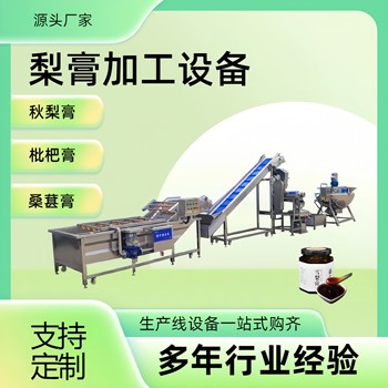 藍莓清洗榨汁生產(chǎn)線，定制秋梨膏加工流水線