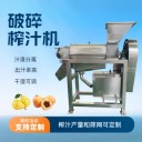 油柑果榨汁機(jī)，蘋(píng)果西瓜檸檬榨汁設(shè)備