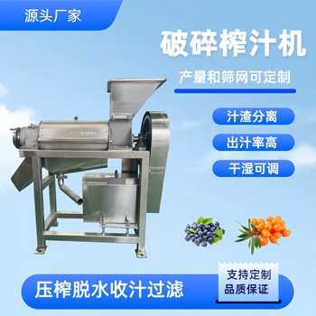 不銹鋼余甘果破碎機，青蘋果螺旋擠汁機