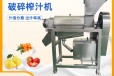 胡蘿卜果蔬榨汁機(jī)，橘子荔枝破碎去籽榨汁機(jī)