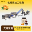 秋梨膏加工全套設(shè)備，川貝枇杷膏調(diào)配濃縮生產(chǎn)線