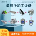 荔枝葡萄桑葚汁加工設(shè)備，小型濃縮橙汁加工流水線