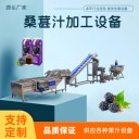 櫻桃果汁飲料生產(chǎn)線，桑葚汁深加工機(jī)械設(shè)備