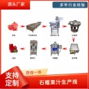 石榴汁加工流水線，小型菠蘿汁飲料加工設(shè)備