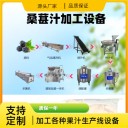 整套桑葚飲料生產(chǎn)線，小型桑葚飲料生產(chǎn)設(shè)備