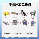 桑葚汁全套加工設備，全自動檸檬汁生產線
