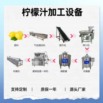 桑葚汁全套加工設(shè)備，全自動(dòng)檸檬汁生產(chǎn)線