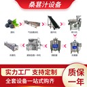 樹(shù)莓汁生產(chǎn)線，整套蘋果汁加工設(shè)備