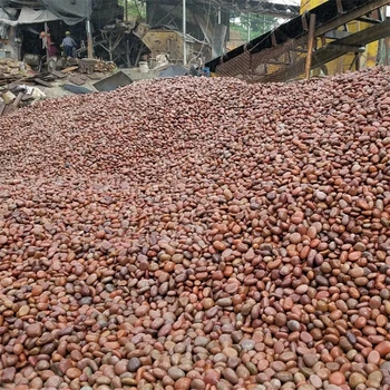 大理鵝卵石220kv米黃色變壓器鵝卵石廠家批發(fā)